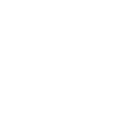 Systems / Network Engineer icon