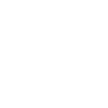 Software Engineer icon